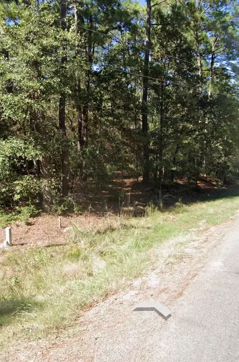 110 Pine Point Cir, Onalaska, TX 77360 photo 3