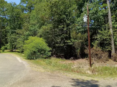 110 Pine Point Cir, Onalaska, TX 77360 photo 16
