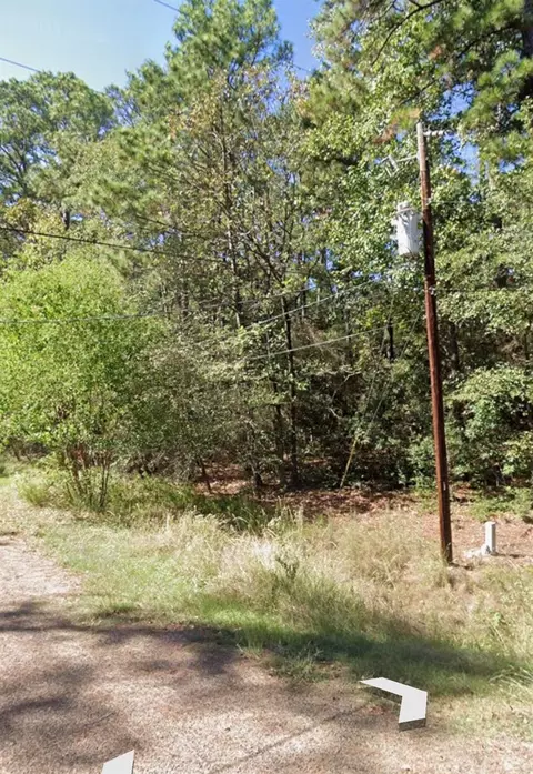 110 Pine Point Cir, Onalaska, TX 77360 photo 4