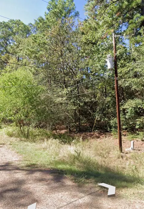 110 Pine Point Cir, Onalaska, TX 77360 photo 19