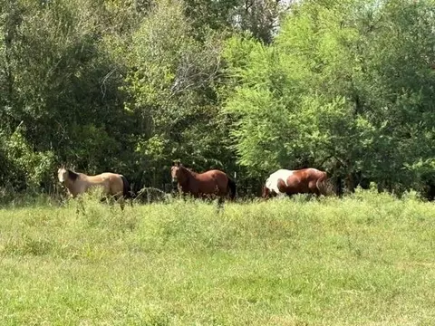 tbd Donigan Rd, Brookshire, TX 77423