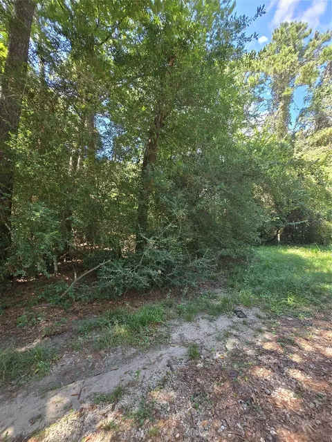 0 Bourgeois Forest Dr, Houston, TX 77066