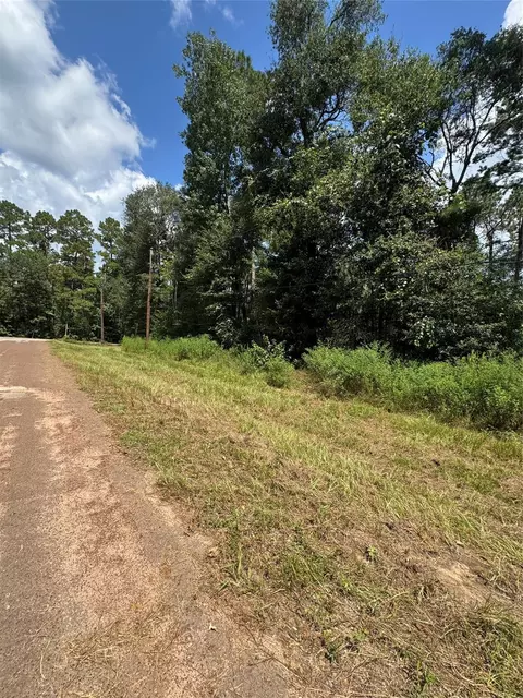 0 Mcrae Cir, Conroe, TX 77303 photo 4