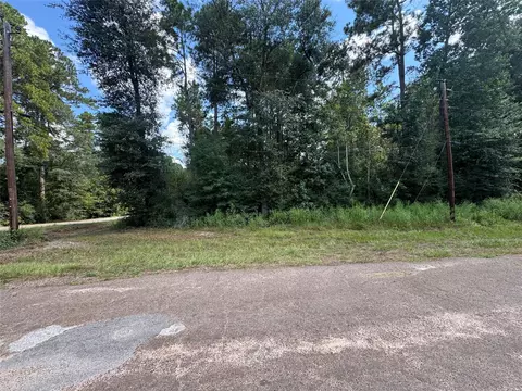 0 Mcrae Cir, Conroe, TX 77303 photo 3