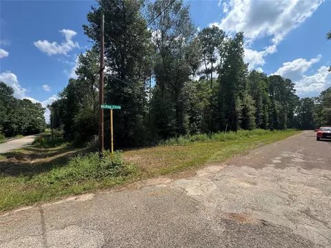 0 Mcrae Cir, Conroe, TX 77303 photo 8