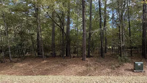 103 Green Tree Dr, Coldspring, TX 77331