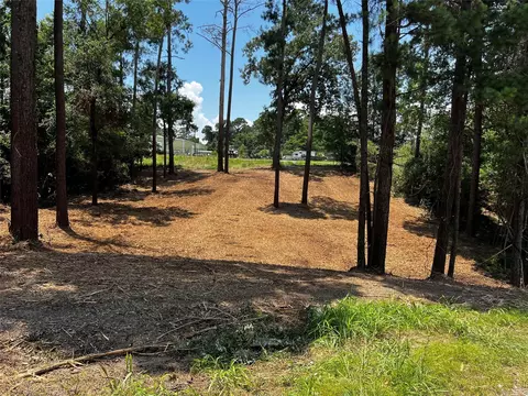 tbd Valley View Dr, Onalaska, TX 77360