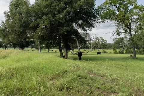 000 Aztec Ln, New Ulm, TX 78950