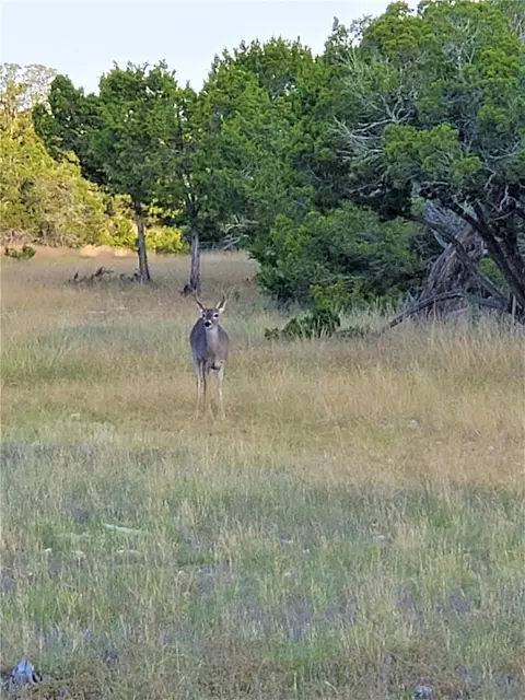 Other - 989 Cedar Ridge Rd, Junction, TX 76849 photo 7 of 38