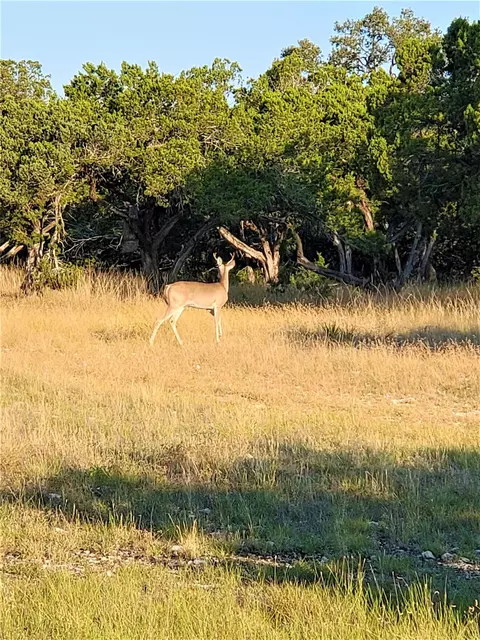 Other - 989 Cedar Ridge Rd, Junction, TX 76849 photo 11 of 38