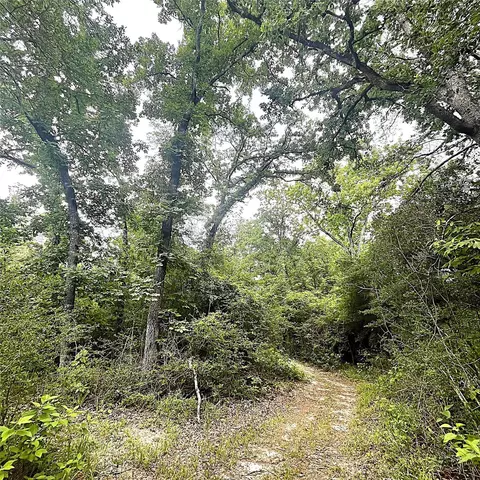 Other - 5002 Fm 811, Centerville, TX 75833 photo 7 of 9