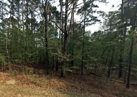 58 S Pine Harbour Dr, Coldspring, TX 77331