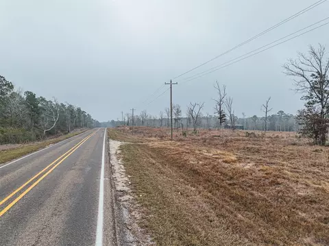 tbd Fm-3152, Livingston, TX 77351