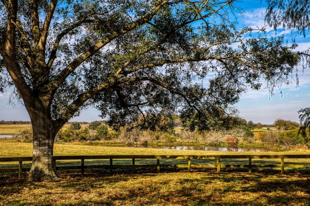 1360 Bluebonnet Rdg Dr  