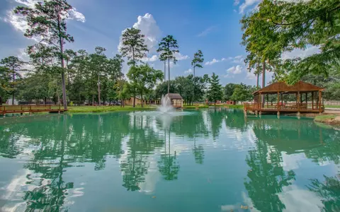 22927 Northoak Forest Ln, Spring, TX 77389