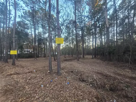 8358 Soapberry Ln, Plantersville, TX 77363