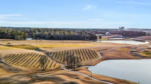 View/Area - 14886 Shavers Dr, Willis, TX 77318 photo 11 of 12