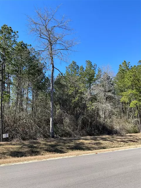 341 Exploration Rd, Willis, TX 77378 photo 2