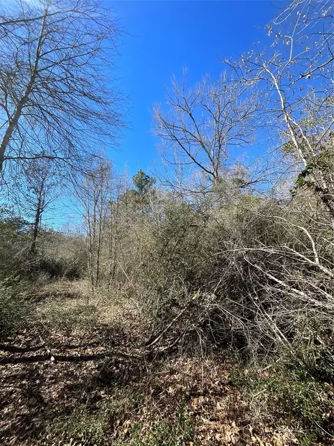 341 Exploration Rd, Willis, TX 77378 photo 4