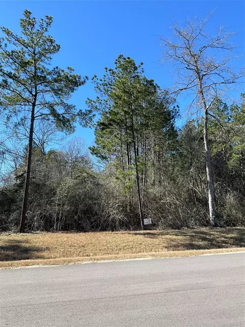 341 Exploration Rd, Willis, TX 77378