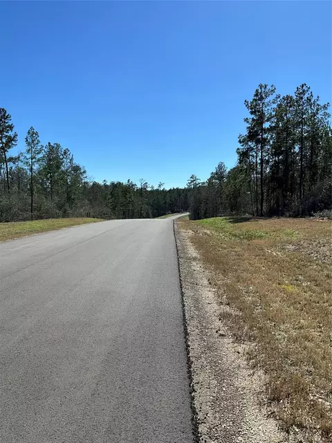 341 Exploration Rd, Willis, TX 77378 photo 6