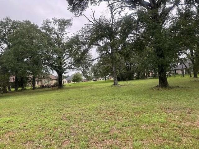 lot63 Birdie Dr, Hempstead, TX 77445
