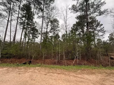 0 Shaffer Rd, Cleveland, TX 77327