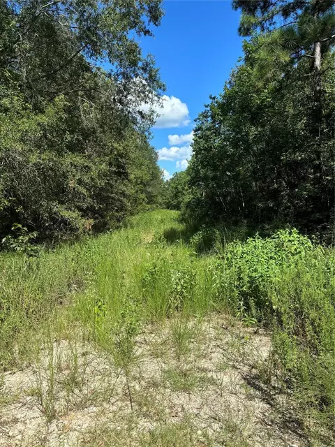 Wake Forest, Livingston, TX 77351