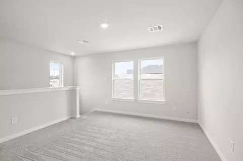 Other - 229 Elm Spring Dr, Hockley, TX 77447 photo 5 of 6