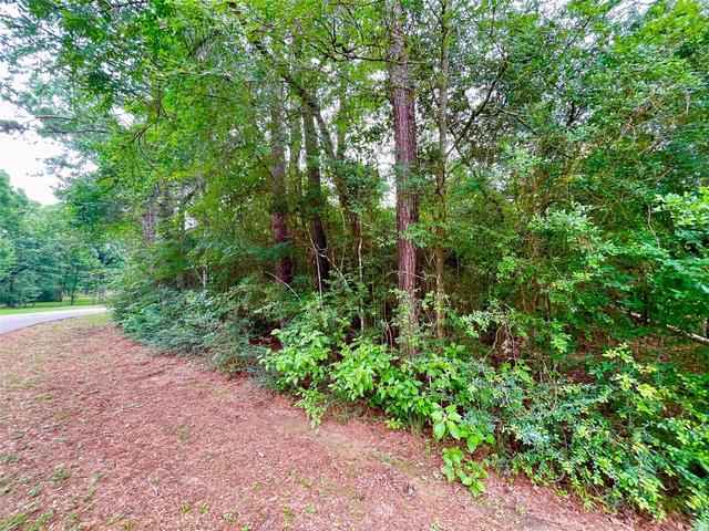 30803 Green Frst, Magnolia, TX 77354