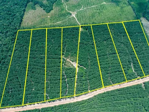 1 Benny Griffin Rd, Dallardsville, TX 77351