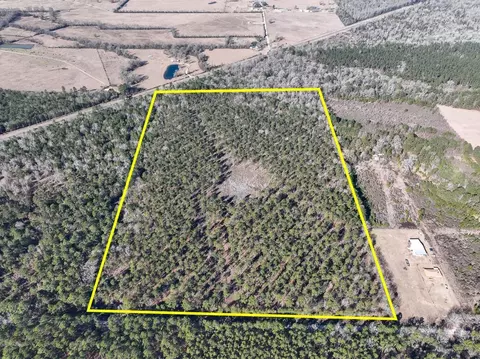 5 Louisville Rd, Pennington, TX 75845