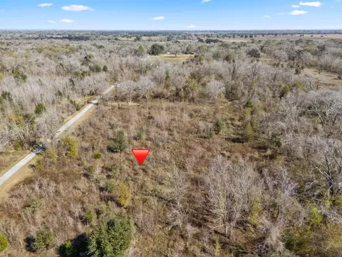 0 Cr 165 Holmes, Cedar Lane, TX 77415