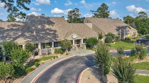 Other - 16114 Lafone Dr, Spring, TX 77379 photo 9 of 9