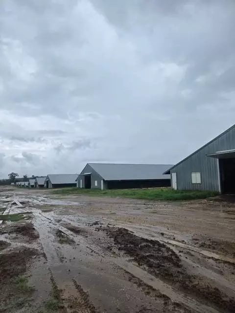 399 Pr 7110, San Augustine, TX 75972