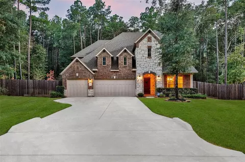 11037 Shadow View Dr, Conroe, TX 77304 photo 1
