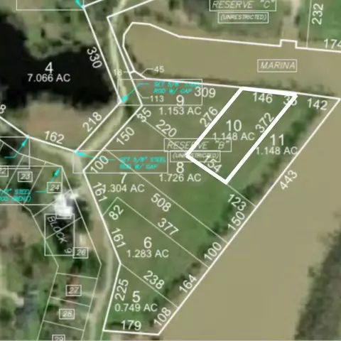 lot10 Lake Livingston Ln, Trinity, TX 75862