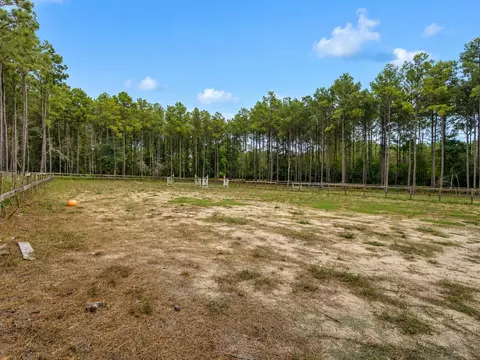 Exterior - 12654 Maxwell St, Willis, TX 77378 photo 8 of 17
