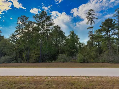 329 Exploration Rd, Willis, TX 77378 photo 2