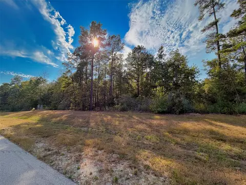 329 Exploration Rd, Willis, TX 77378 photo 4
