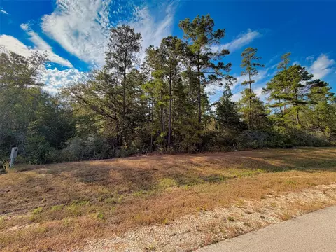329 Exploration Rd, Willis, TX 77378 photo 3
