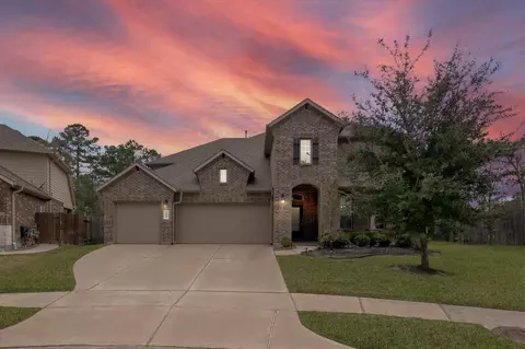 24542 Grayson Falls Ln, Spring, TX 77389 photo 1