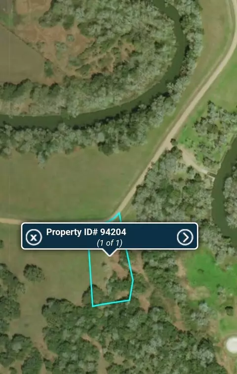 90 River Tree Dr, Blessing, TX 77419 photo 2