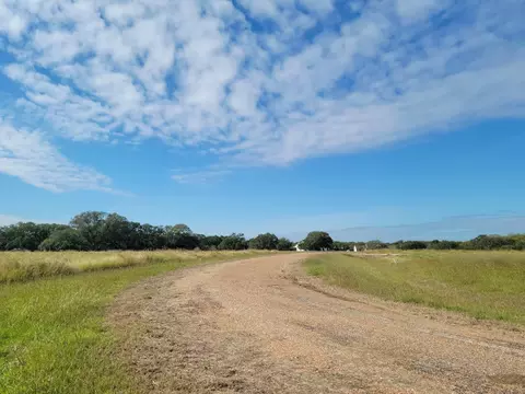 90 River Tree Dr, Blessing, TX 77419 photo 6