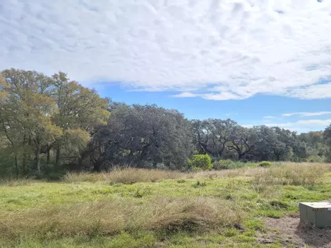 90 River Tree Dr, Blessing, TX 77419 photo 7