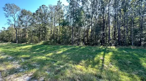 11530 E Bramble Ct, Willis, TX 77378