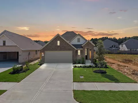 229 Violet Crown Ln, New Caney, TX 77357