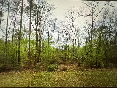 100 Virginia Crk, Coldspring, TX 77331
