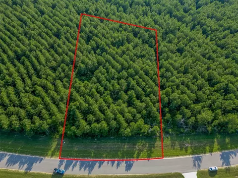 15743 Wooded Trail Way, Willis, TX 77378