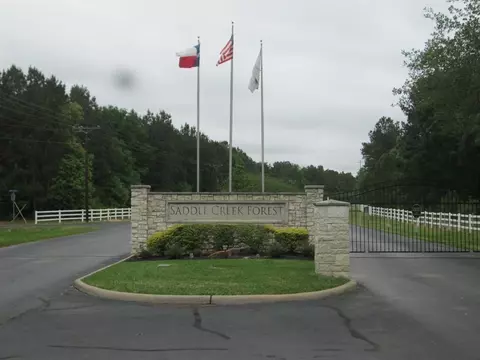 8103 Buck Skin Ln, Waller, TX 77484